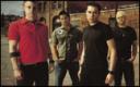 Trapt