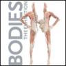 Bodies On Exhibit At The Tropicana Las Vegas
