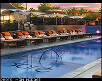 Bare Pool Opens at The Mirage