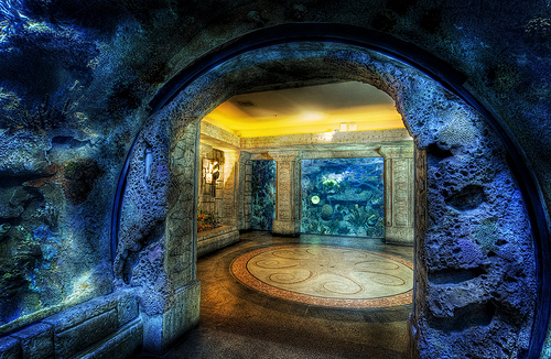 Shark Reef Aquarium